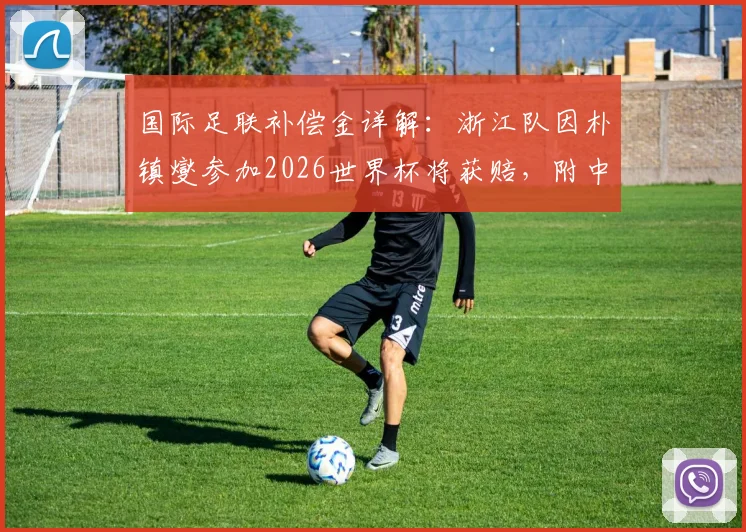 国际足联补偿金详解：浙江队因朴镇燮参加2026世界杯将获赔，附中超俱乐部申请资格与金额计算指南